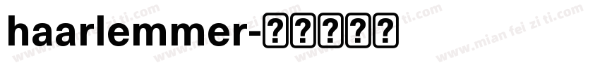 haarlemmer字体转换