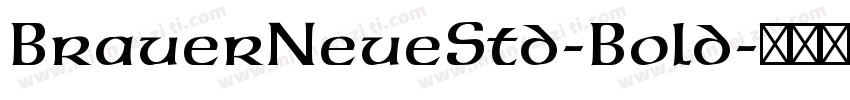 BrauerNeueStd-Bold字体转换