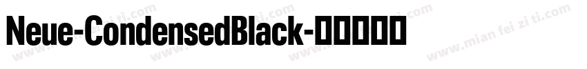 Neue-CondensedBlack字体转换