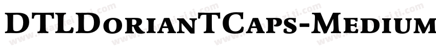 DTLDorianTCaps-MediumItalic字体转换