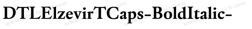 DTLElzevirTCaps-BoldItalic字体转换