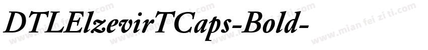 DTLElzevirTCaps-Bold字体转换