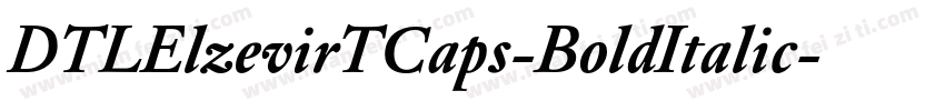 DTLElzevirTCaps-BoldItalic字体转换