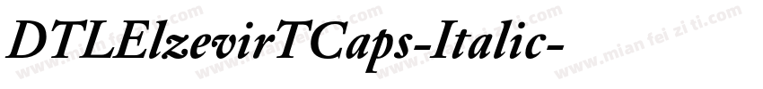 DTLElzevirTCaps-Italic字体转换
