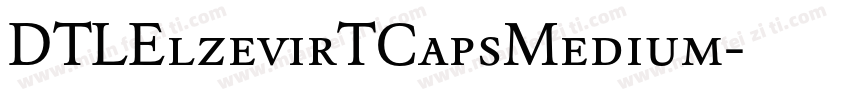 DTLElzevirTCapsMedium字体转换
