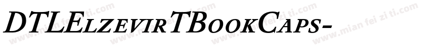 DTLElzevirTBookCaps字体转换