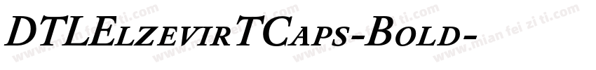 DTLElzevirTCaps-Bold字体转换