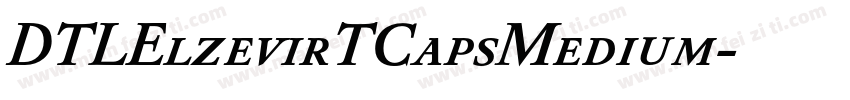 DTLElzevirTCapsMedium字体转换