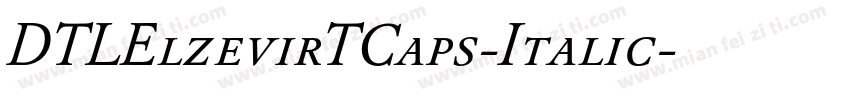 DTLElzevirTCaps-Italic字体转换