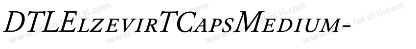 DTLElzevirTCapsMedium字体转换