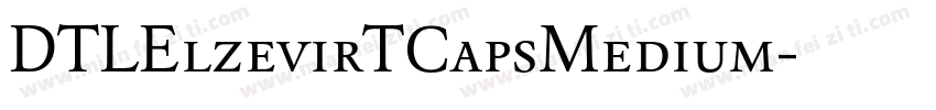 DTLElzevirTCapsMedium字体转换