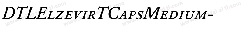 DTLElzevirTCapsMedium字体转换