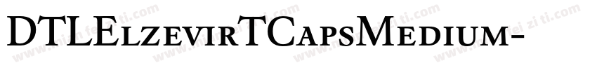 DTLElzevirTCapsMedium字体转换