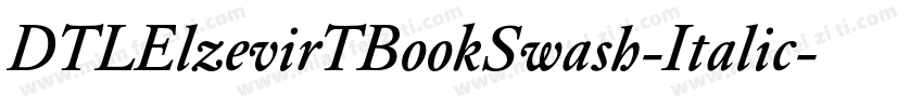 DTLElzevirTBookSwash-Italic字体转换