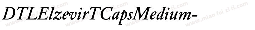 DTLElzevirTCapsMedium字体转换
