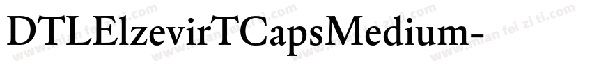 DTLElzevirTCapsMedium字体转换