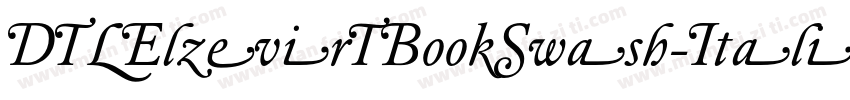 DTLElzevirTBookSwash-Italic字体转换