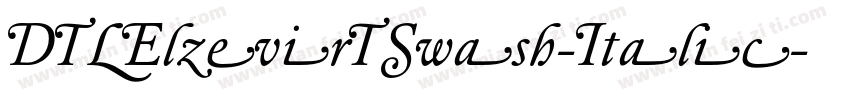 DTLElzevirTSwash-Italic字体转换