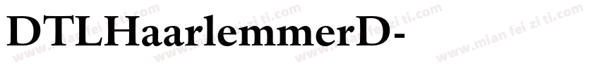 DTLHaarlemmerD字体转换