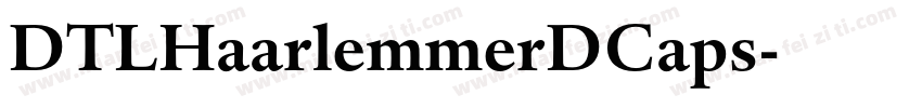 DTLHaarlemmerDCaps字体转换