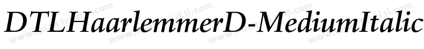 DTLHaarlemmerD-MediumItalic字体转换
