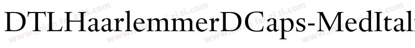 DTLHaarlemmerDCaps-MedItalic字体转换
