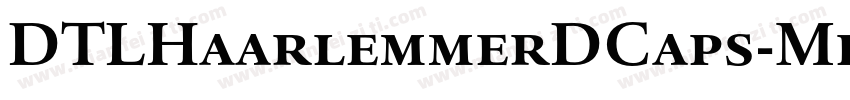 DTLHaarlemmerDCaps-Medium字体转换