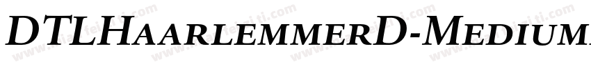 DTLHaarlemmerD-MediumItalic字体转换