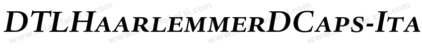 DTLHaarlemmerDCaps-Italic字体转换