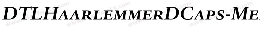 DTLHaarlemmerDCaps-Medium字体转换
