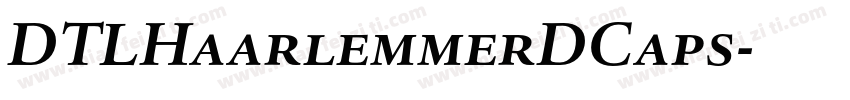 DTLHaarlemmerDCaps字体转换