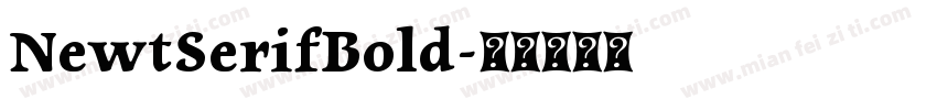 NewtSerifBold字体转换