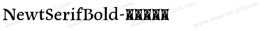 NewtSerifBold字体转换