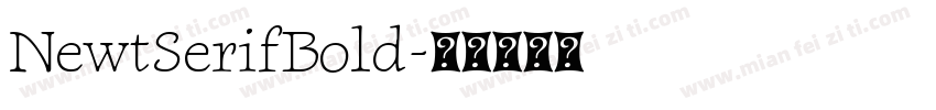 NewtSerifBold字体转换