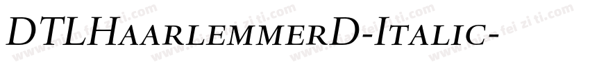 DTLHaarlemmerD-Italic字体转换