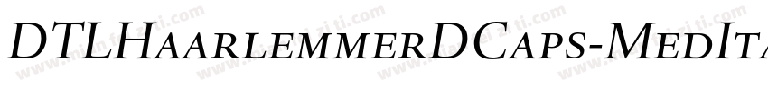 DTLHaarlemmerDCaps-MedItalic字体转换