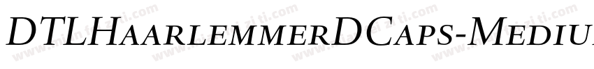 DTLHaarlemmerDCaps-Medium字体转换