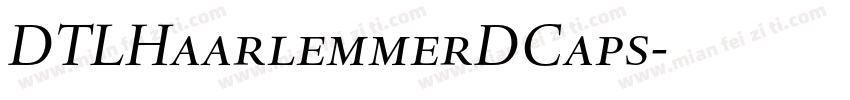 DTLHaarlemmerDCaps字体转换