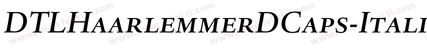 DTLHaarlemmerDCaps-Italic字体转换