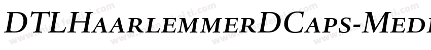 DTLHaarlemmerDCaps-Medium字体转换