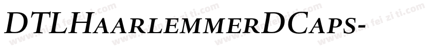 DTLHaarlemmerDCaps字体转换