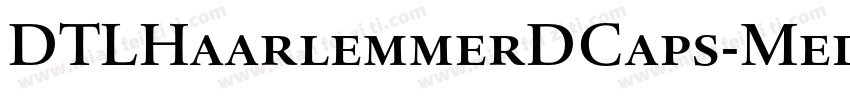 DTLHaarlemmerDCaps-Medium字体转换