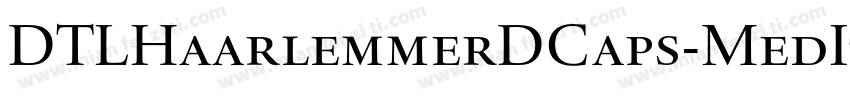 DTLHaarlemmerDCaps-MedItalic字体转换
