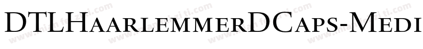 DTLHaarlemmerDCaps-Medium字体转换