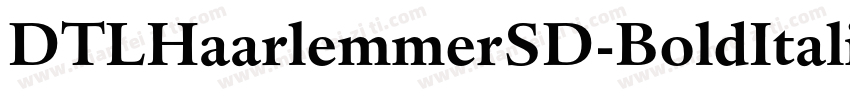 DTLHaarlemmerSD-BoldItalic字体转换