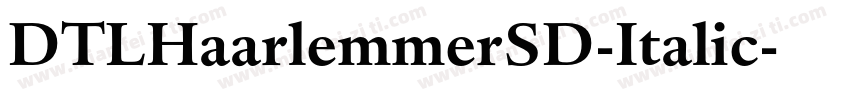 DTLHaarlemmerSD-Italic字体转换