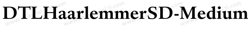 DTLHaarlemmerSD-MediumItalic字体转换