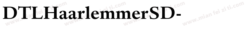 DTLHaarlemmerSD字体转换