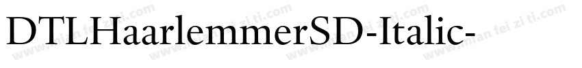 DTLHaarlemmerSD-Italic字体转换