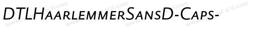DTLHaarlemmerSansD-Caps字体转换